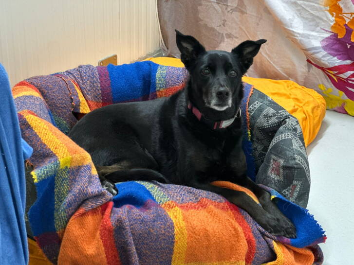 78ba6ebf-6ef9-4295-9b20-fd4eb1184a65.jpg 78ba6ebf-6ef9-4295-9b20-fd4eb1184a65.jpg