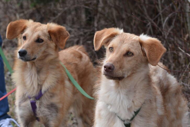 dsc_0235.jpg dsc_0235.jpg